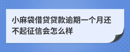 小麻袋借贷贷款逾期一个月还不起征信会怎么样