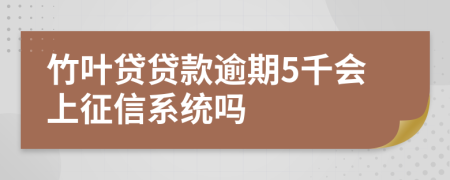 竹叶贷贷款逾期5千会上征信系统吗