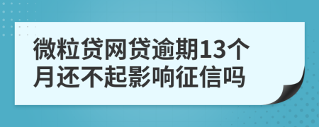 微粒贷网贷逾期13个月还不起影响征信吗