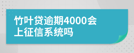 竹叶贷逾期4000会上征信系统吗