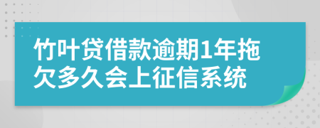 竹叶贷借款逾期1年拖欠多久会上征信系统