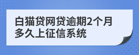 白猫贷网贷逾期2个月多久上征信系统