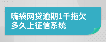 嗨袋网贷逾期1千拖欠多久上征信系统