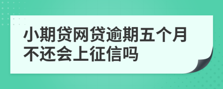 小期贷网贷逾期五个月不还会上征信吗