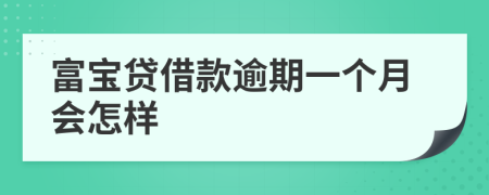 富宝贷借款逾期一个月会怎样