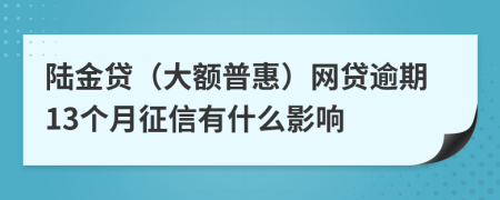 陆金贷（大额普惠）网贷逾期13个月征信有什么影响