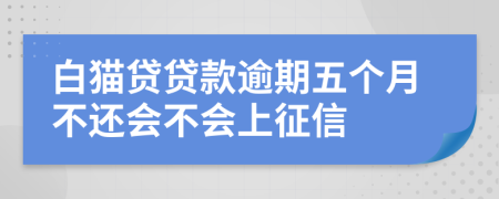 白猫贷贷款逾期五个月不还会不会上征信