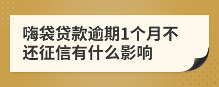 嗨袋贷款逾期1个月不还征信有什么影响