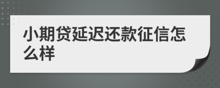 小期贷延迟还款征信怎么样