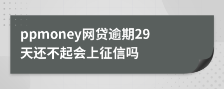 ppmoney网贷逾期29天还不起会上征信吗