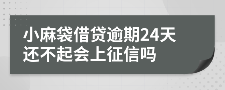 小麻袋借贷逾期24天还不起会上征信吗