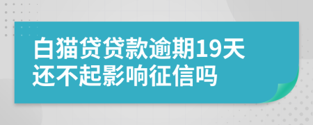 白猫贷贷款逾期19天还不起影响征信吗