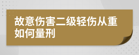 故意伤害二级轻伤从重如何量刑