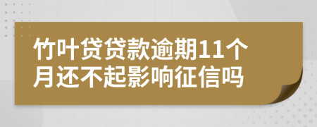 竹叶贷贷款逾期11个月还不起影响征信吗