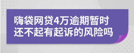 嗨袋网贷4万逾期暂时还不起有起诉的风险吗