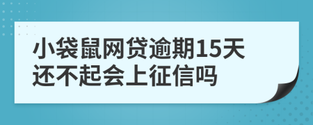 小袋鼠网贷逾期15天还不起会上征信吗