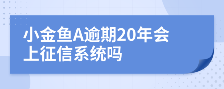 小金鱼A逾期20年会上征信系统吗