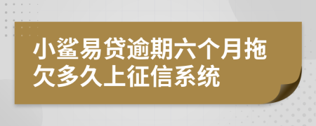 小鲨易贷逾期六个月拖欠多久上征信系统