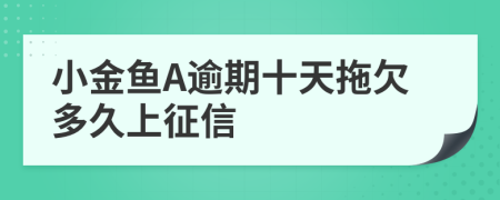 小金鱼A逾期十天拖欠多久上征信