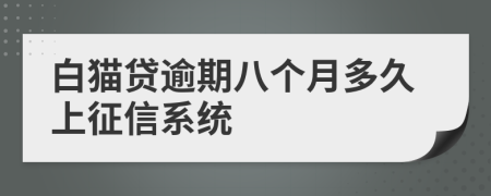 白猫贷逾期八个月多久上征信系统