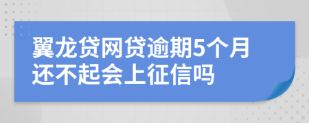 翼龙贷网贷逾期5个月还不起会上征信吗