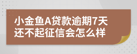 小金鱼A贷款逾期7天还不起征信会怎么样