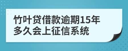 竹叶贷借款逾期15年多久会上征信系统