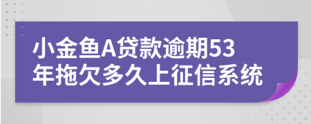 小金鱼A贷款逾期53年拖欠多久上征信系统