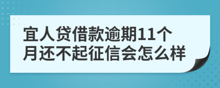 宜人贷借款逾期11个月还不起征信会怎么样