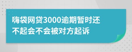 嗨袋网贷3000逾期暂时还不起会不会被对方起诉