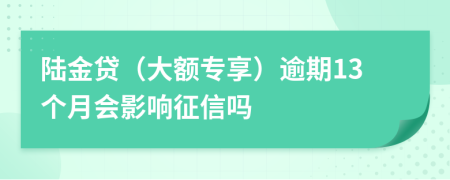 陆金贷（大额专享）逾期13个月会影响征信吗