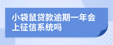 小袋鼠贷款逾期一年会上征信系统吗