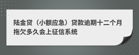 陆金贷（小额应急）贷款逾期十二个月拖欠多久会上征信系统