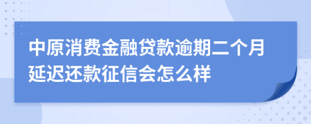 中原消费金融贷款逾期二个月延迟还款征信会怎么样