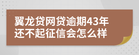 翼龙贷网贷逾期43年还不起征信会怎么样