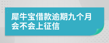 犀牛宝借款逾期九个月会不会上征信