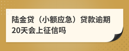 陆金贷（小额应急）贷款逾期20天会上征信吗