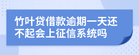 竹叶贷借款逾期一天还不起会上征信系统吗