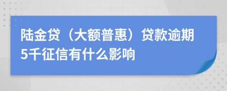 陆金贷（大额普惠）贷款逾期5千征信有什么影响