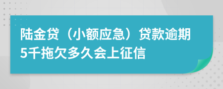 陆金贷（小额应急）贷款逾期5千拖欠多久会上征信