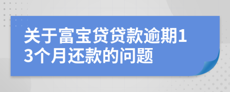 关于富宝贷贷款逾期13个月还款的问题