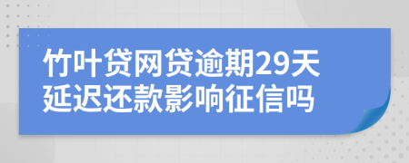 竹叶贷网贷逾期29天延迟还款影响征信吗