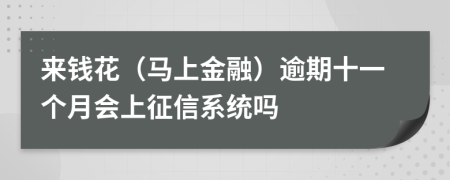 来钱花（马上金融）逾期十一个月会上征信系统吗