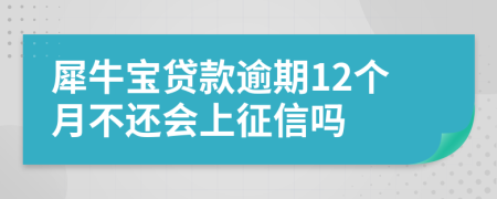 犀牛宝贷款逾期12个月不还会上征信吗