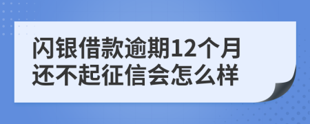 闪银借款逾期12个月还不起征信会怎么样