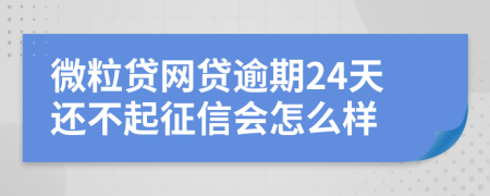 微粒贷网贷逾期24天还不起征信会怎么样