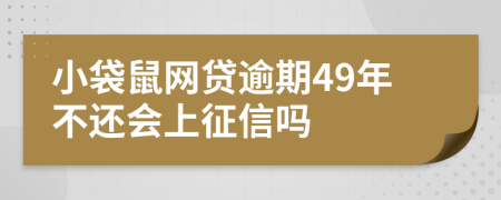 小袋鼠网贷逾期49年不还会上征信吗