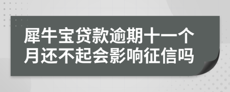 犀牛宝贷款逾期十一个月还不起会影响征信吗