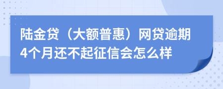 陆金贷（大额普惠）网贷逾期4个月还不起征信会怎么样