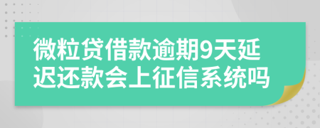 微粒贷借款逾期9天延迟还款会上征信系统吗